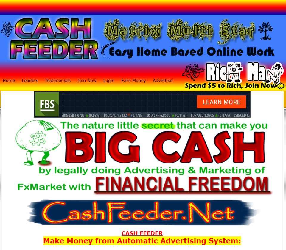 cashfeeder review, cashfeeder.net review