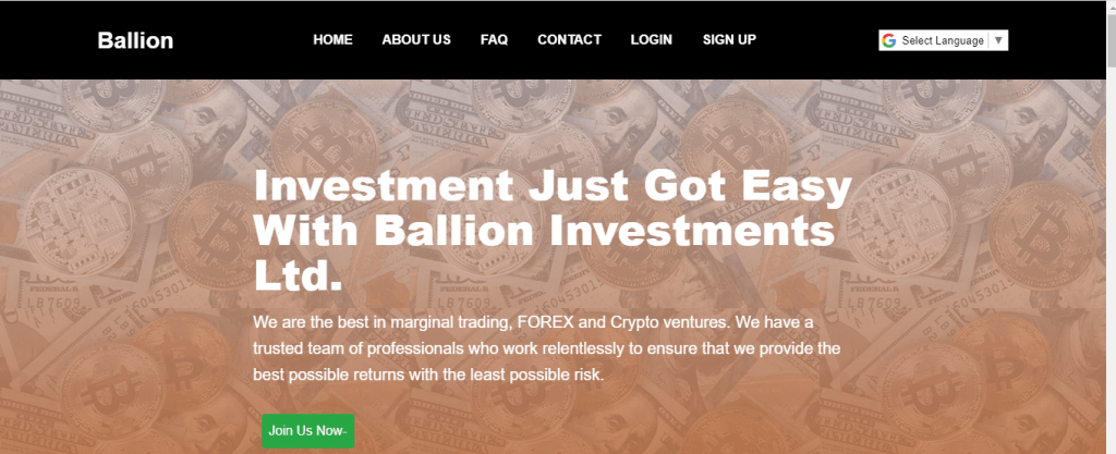Ballion Review, Ballion Company
