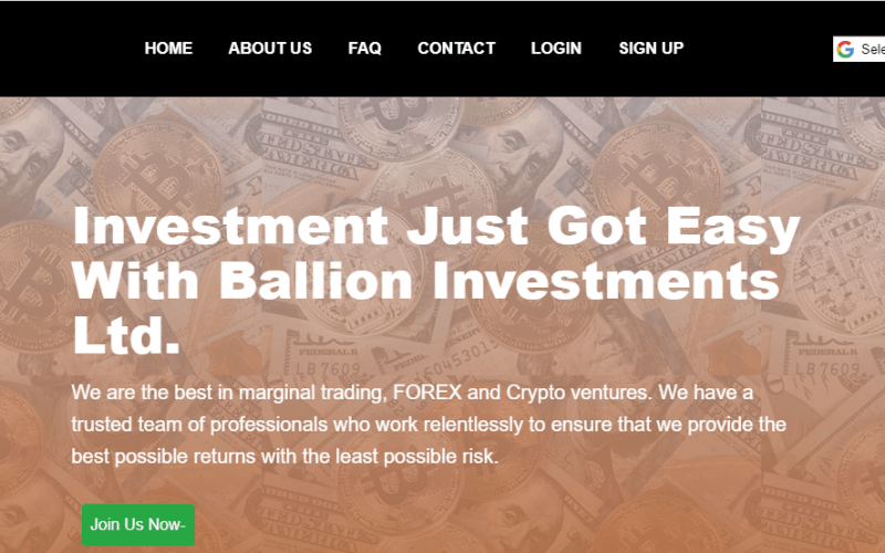 Ballion Review, Ballion Company