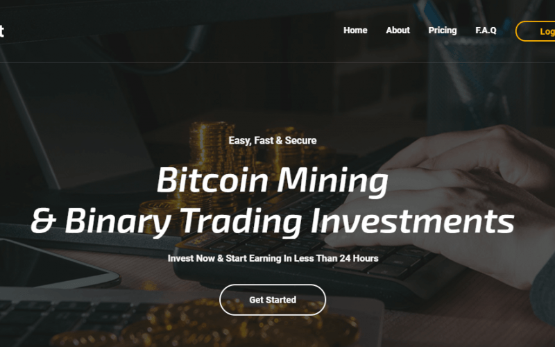 BitFxInvest Review, BitFxInvest Company